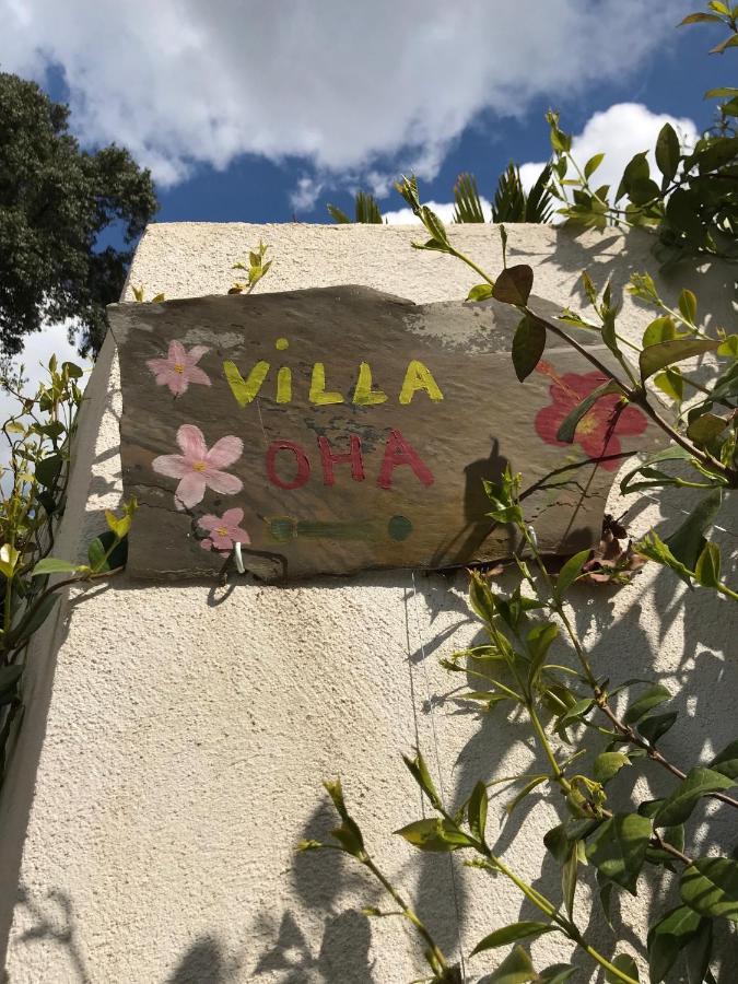 Villa Oha Close Cannes,Nice, Valbonne , Opio Roquefort-les-Pins Exterior foto